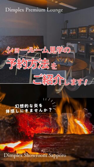 Dimplex 電気蓄熱暖房器 楽天市場】【インターセントラル】サンレッジ蓄熱暖房機ZX